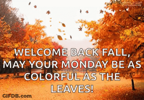 Welcome Back Fall , May Your Monday Be As Colorful As The Leaves GIF