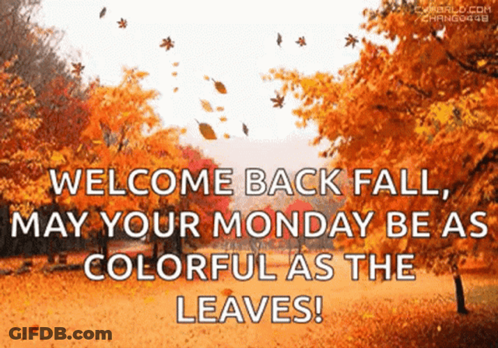 Welcome Back Happy Fall Sunday GIF