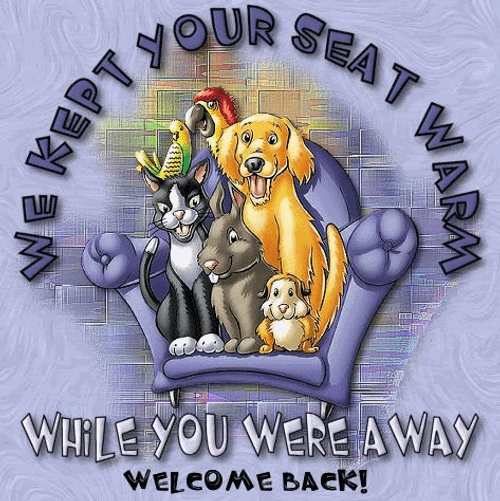 Welcome Back Pets GIF