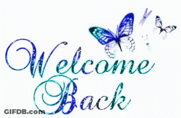 Welcome Back Sign With Blue Butterflies GIF
