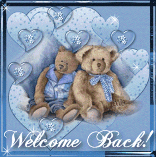 Welcome Back Two Bears GIF