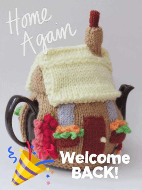 Welcome  Bacl Home Again GIF