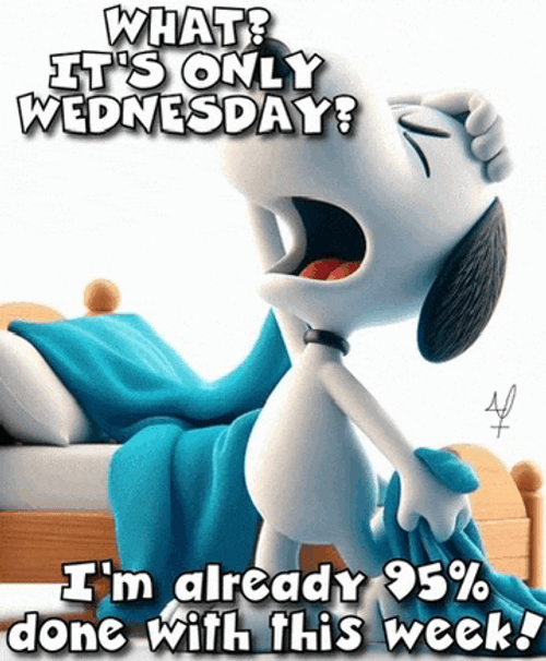 Welcome Its Wednesday Meme GIF