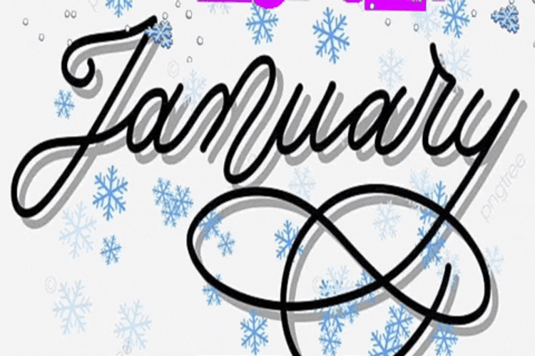 Welcome January Snow Flakes GIF