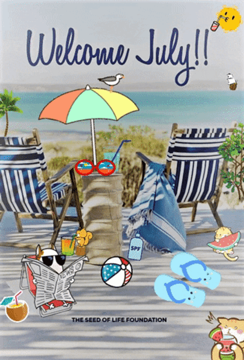Welcome July Beach Vibes GIF