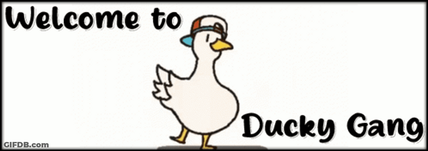 Welcome To Ducky Gang GIF