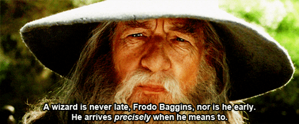 Welcome To Earth Gandalf GIF