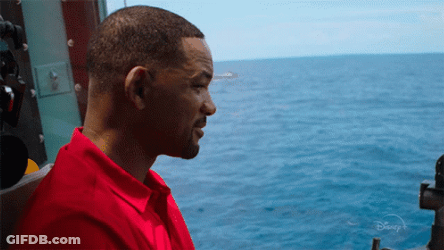 Welcome To Earth Handsome Will Smith GIF