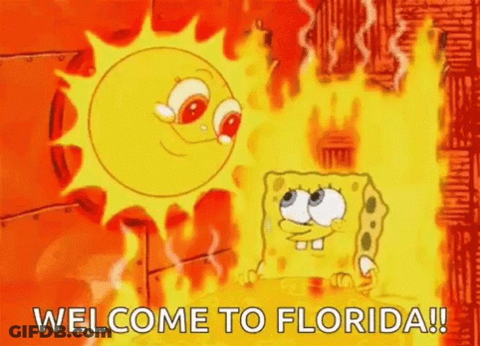 Welcome To Florida Burning Spongebob GIF