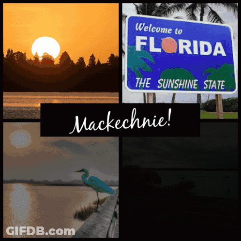 Welcome To Florida The Sunshine State Mackechnie Sign GIF