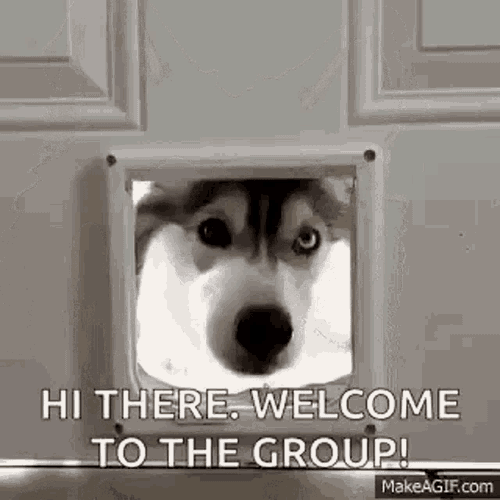 Welcome To GIF