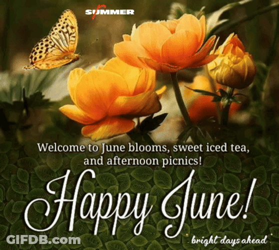 Welcome To June Blooms GIF