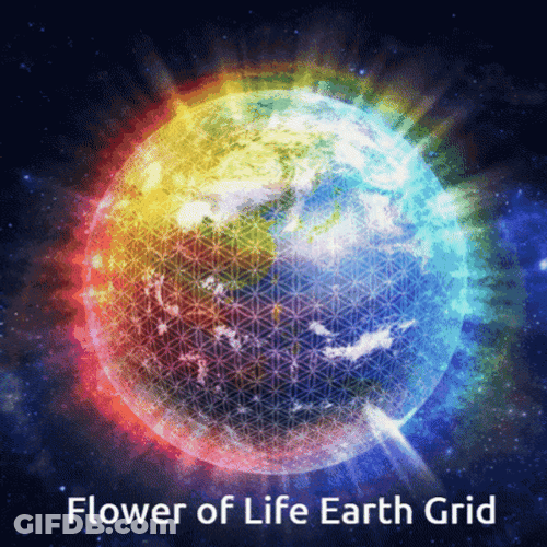 Welcome To Life Earth Grid GIF