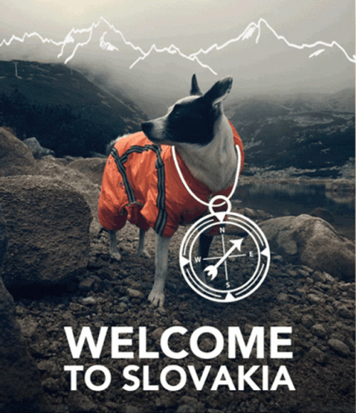 Welcome To Slovakia Surinka Dog GIF