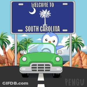 Welcome To South Carolina Sign With Penguin Driving Green Car GIF