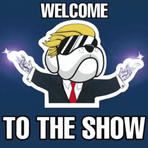 Welcome To The Show Sparkling Dog GIF