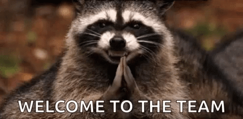 Welcome To The Team Raccoon GIF