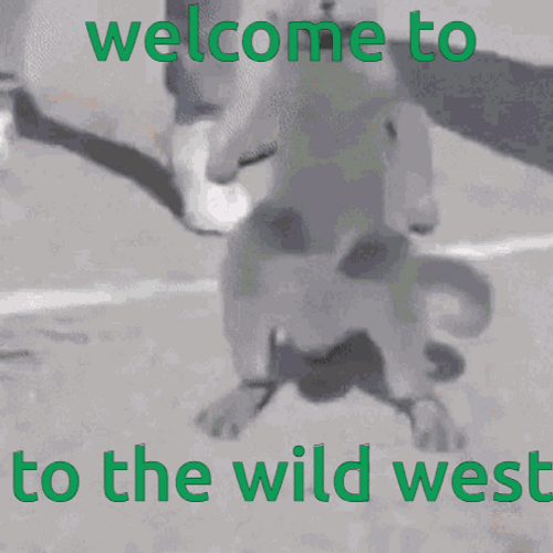 Welcome To The Wild West Cat Dance GIF