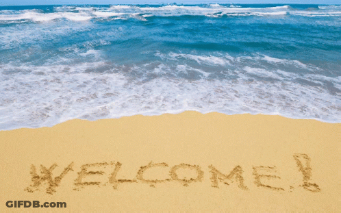 Welcome Written In Sand On Beach GIF