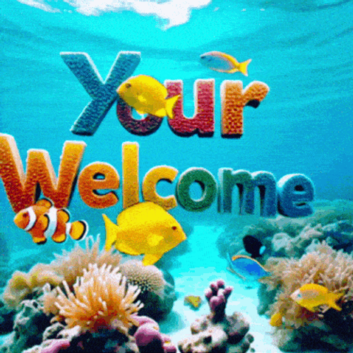 Welcome Your Welcome GIF