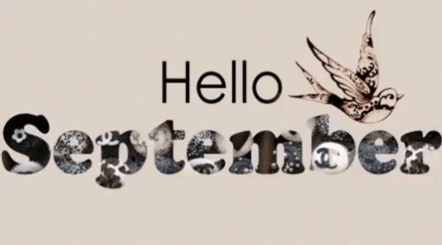 Welcoming September With Bird GIF