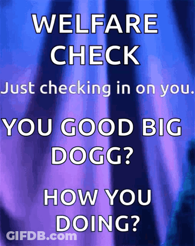 Welfare Check You Good Big Dogg GIF