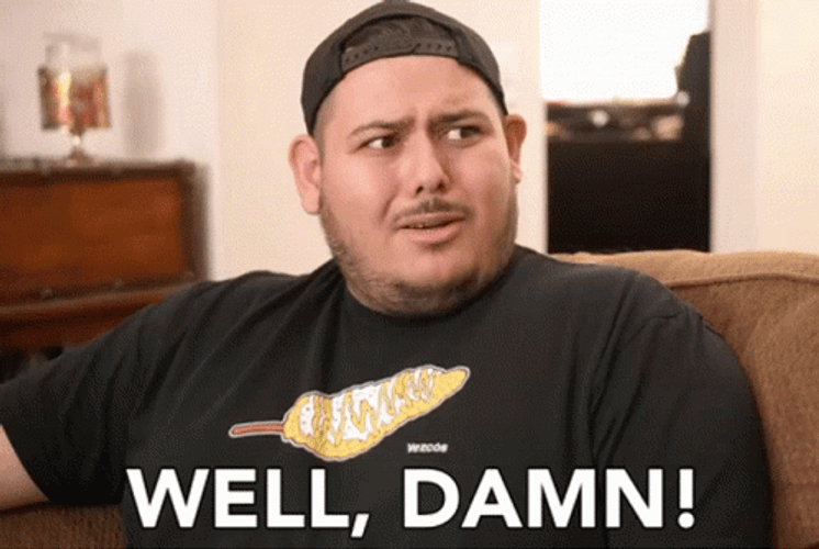 Well Damn It GIF