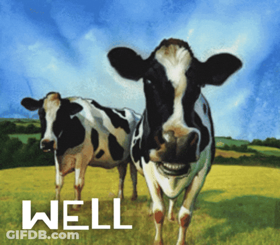 Well Done Moo GIF