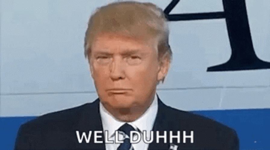 Well Duh Donald Trump GIF