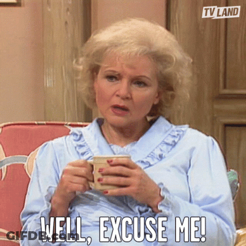 Well Excuse Me Rose Nylund GIF
