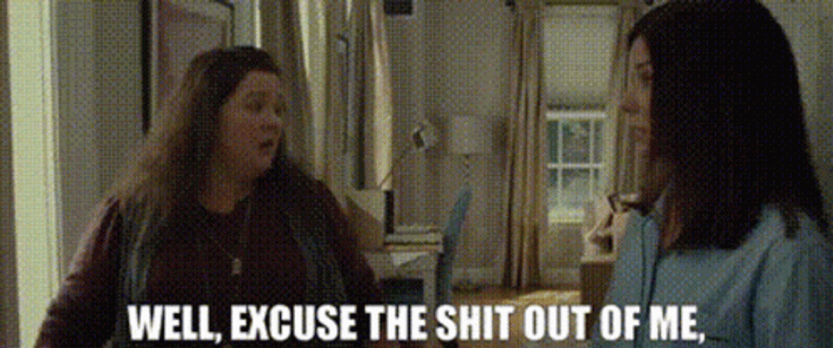 Well Excuse Me Sandra Bullock And Melissa McCarthy GIF
