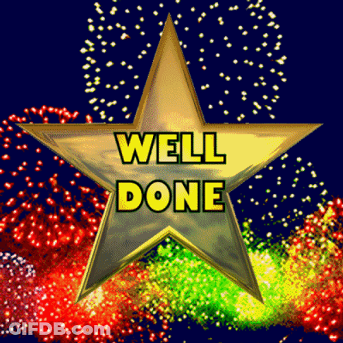Well Fireworks Star GIF