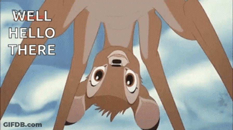 Well Hello There Bambi GIF