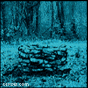 Well In Forest GIF
