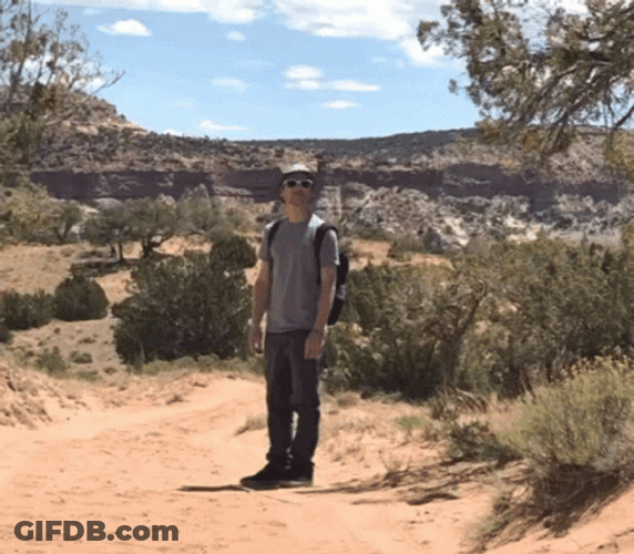 Well That's It Desert GIF