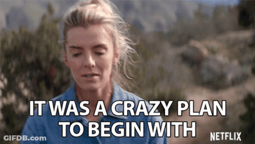 Well There It Is A Crazy Plan GIF