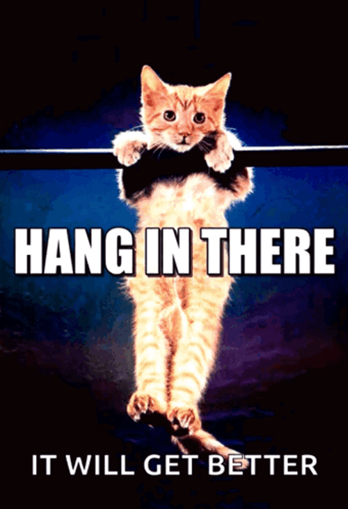 Well There It Is Hang In There GIF