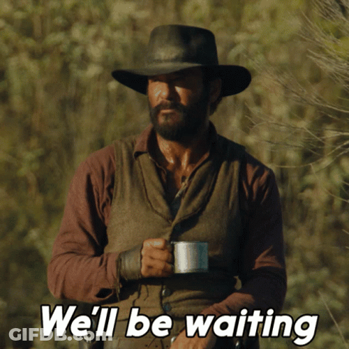 Well We're Waiting Cowboy Tim McGraw GIF