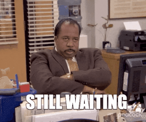 Well We're Waiting Stanley Hudson The Office GIF