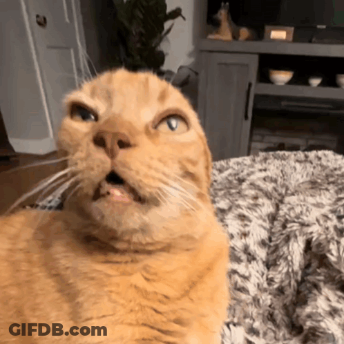 Well Well Well Look Who It Is GIF