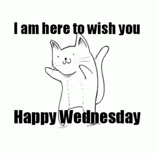 Wellness Wednesday Dancing Cat GIF