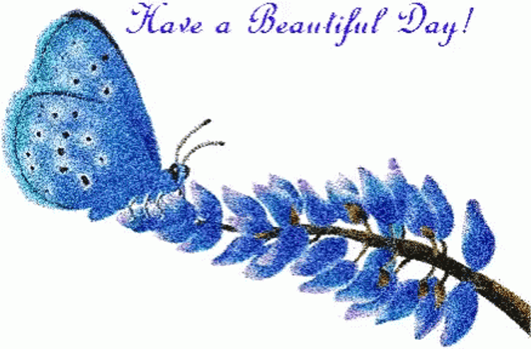 Wellness Wednesday Have A Beautiful Day GIF