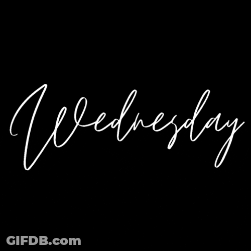 Wellness Wednesday White Text GIF