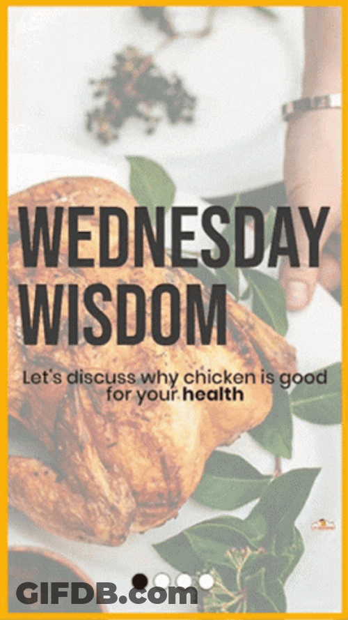 Wellness Wednesday Wisdom GIF