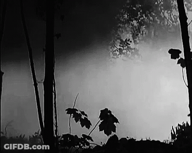 Wendigo Seen Upon The Mist GIF