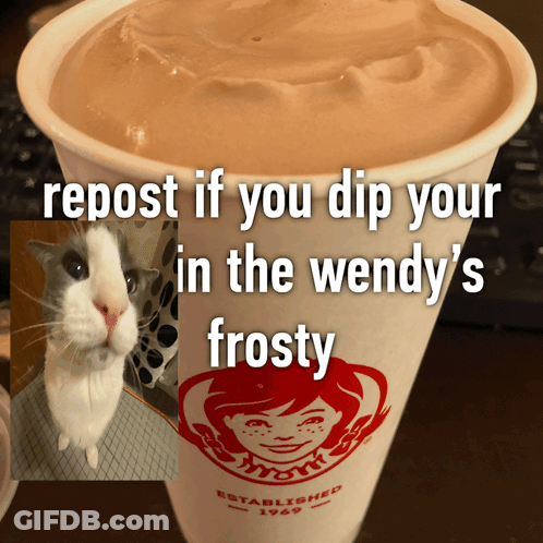 Wendy's Frosty Cup With Cat Standing Next To It GIF