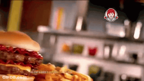 Wendy's Hamburger And Fries Close Up GIF