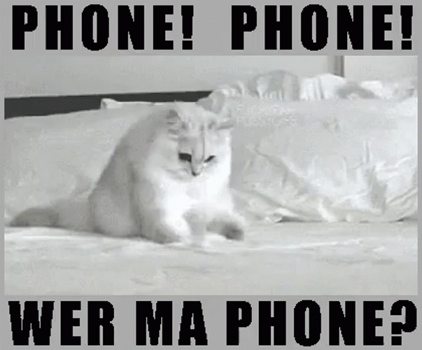 Wer Ma Phone GIF
