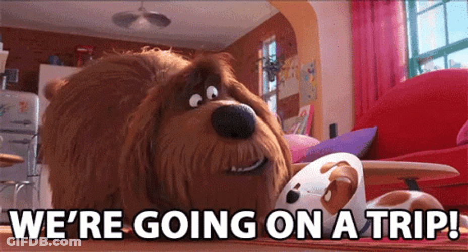 Were Going On A Trip Duke GIF