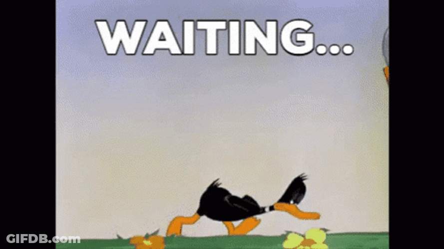 Were Waiting Looney Tunes Daffy Duck GIF